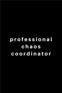Professional Chaos Coordinator.