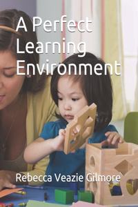 Perfect Learning Environment