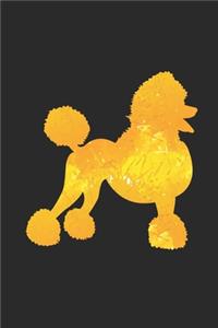 Yellow Poodle