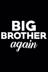 Big Brother Again