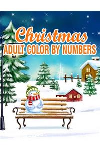 Christmas Adult Color By Numbers