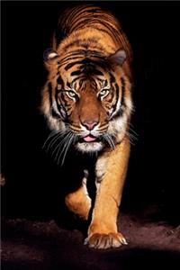 Tiger Lovers 2020 Weekly Monthly Planner