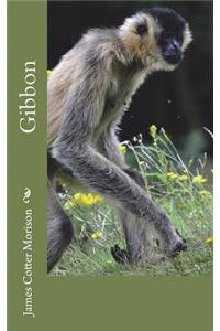 Gibbon