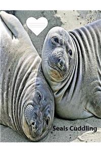 Seals Cuddling on Cover for collegeruledlinepaper Compostion Book