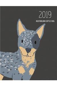 2019 Australian Cattle Dog