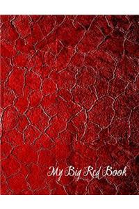 My Big Red Book
