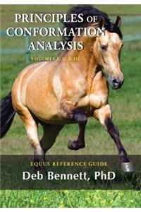 Principles of Conformation Analysis
