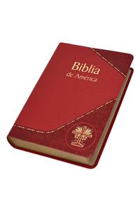 Biblia de America