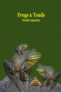 Frogs and Toads of North America Kids Book