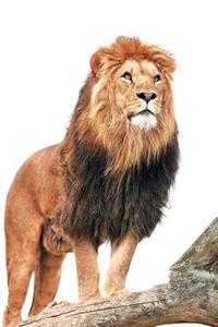 King of the Jungle Notebook