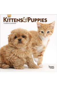 Kittens & Puppies 2021 Mini 7x7