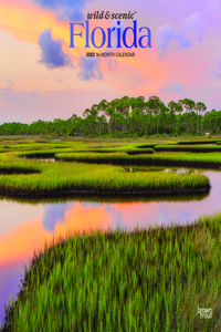 Florida Wild & Scenic 2023 Square Foil