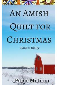 Amish Quilt for Christmas