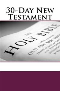 30-Day New Testament