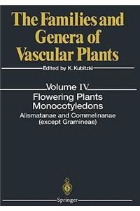 Flowering Plants. Monocotyledons