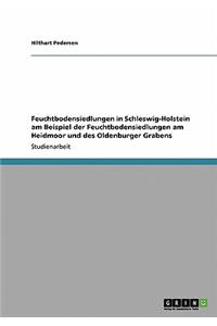 Feuchtbodensiedlungen in Schleswig-Holstein am Beispiel der Feuchtbodensiedlungen am Heidmoor und des Oldenburger Grabens