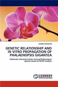 Genetic Relationship and in Vitro Propagation of Phalaenopsis Gigantea