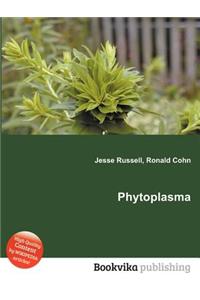 Phytoplasma