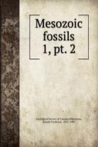 Mesozoic fossils