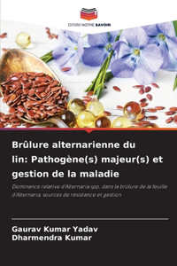Brûlure alternarienne du lin