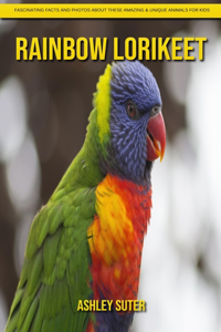 Rainbow lorikeet