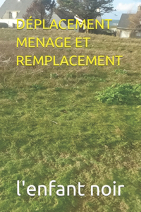 Déplacement Menage Et Remplacement