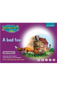 Read Write Inc. Phonics: Purple Set 2 Storybooks: School Pack of 100 (10x10 titles)