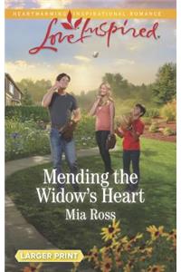 Mending the Widow's Heart