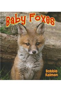 Baby Foxes
