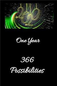 2020 One Year 366 Possibilities