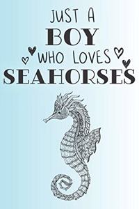 Just A Boy Who Loves Seahorses