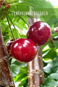 Ernährungstagebuch