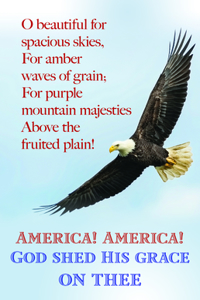 Patriotic Bulletin: America (Package of 100)