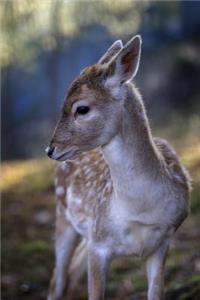 Precious Little Fawn Baby Animal Journal