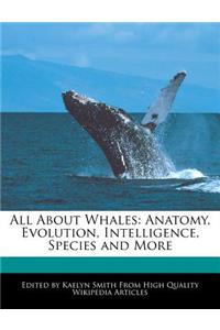 All about Whales