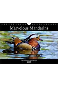Marvellous Mandarins 2018