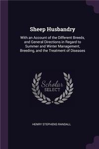 Sheep Husbandry