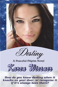 Destiny, A Peaceful Pilgrim Novel