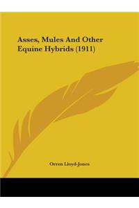 Asses, Mules And Other Equine Hybrids (1911)