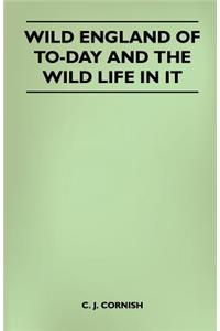 Wild England of To-Day and the Wild Life in it