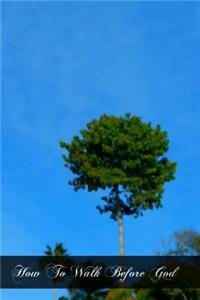 How To Walk Before God