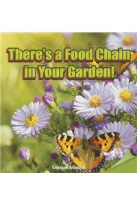 There's a Food Chain in Your Garden!