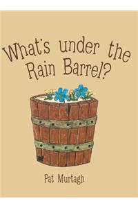 What's Under the Rain Barrel?