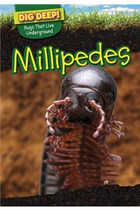 Millipedes