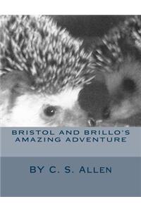 Bristol and Brillo's Amazing Adventure