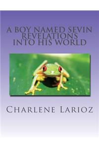 Boy Named Sevin - Revelations Into His World