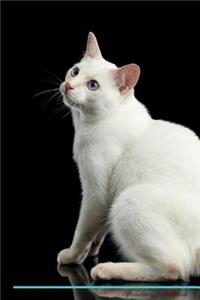 Mekong Bobtail Affirmations Workbook Mekong Bobtail Presents