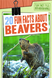 20 Fun Facts about Beavers