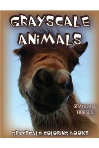 Grayscale Animals Horses