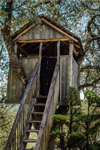Welcome to My Treehouse Journal